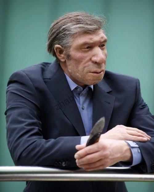 Музей в долині Неандерталь Музей в долині Неандерталь