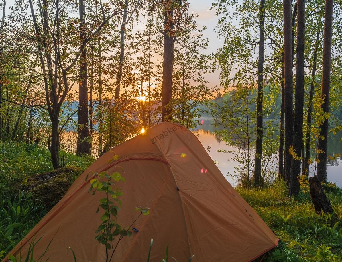 Похід у ліс – корисні лайхаки Похід у ліс – корисні лайхаки