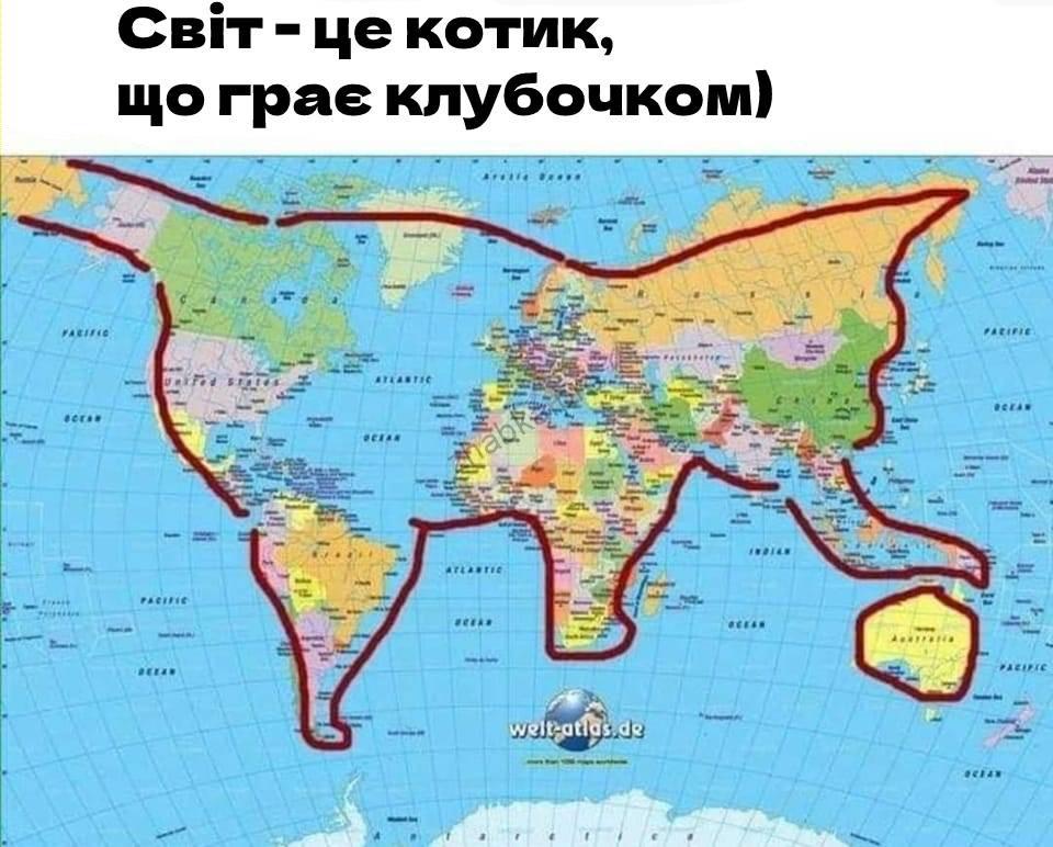 Карта-котик)